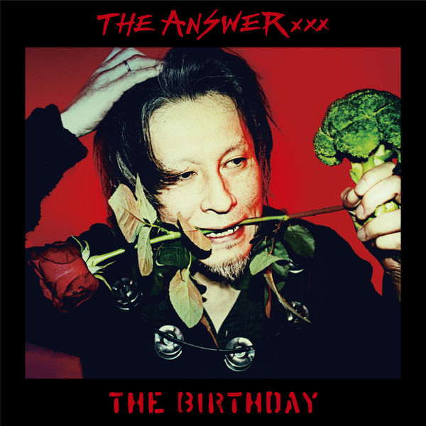 The Birthday - The Answer The Birthday - The Answer