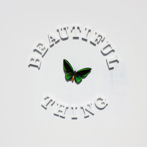 The Stone Roses|Beautiful Thing The Stone Roses|Beautiful Thing