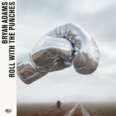Roll With The Punches cover