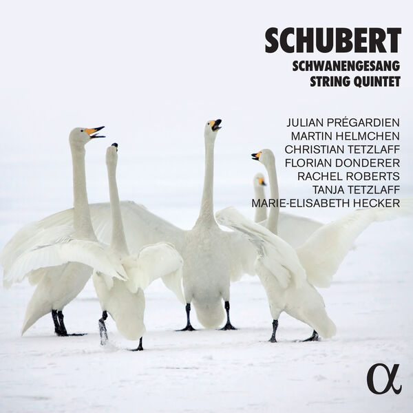 Julian Prégardien|Schubert: Schwanengesang & String Quintet