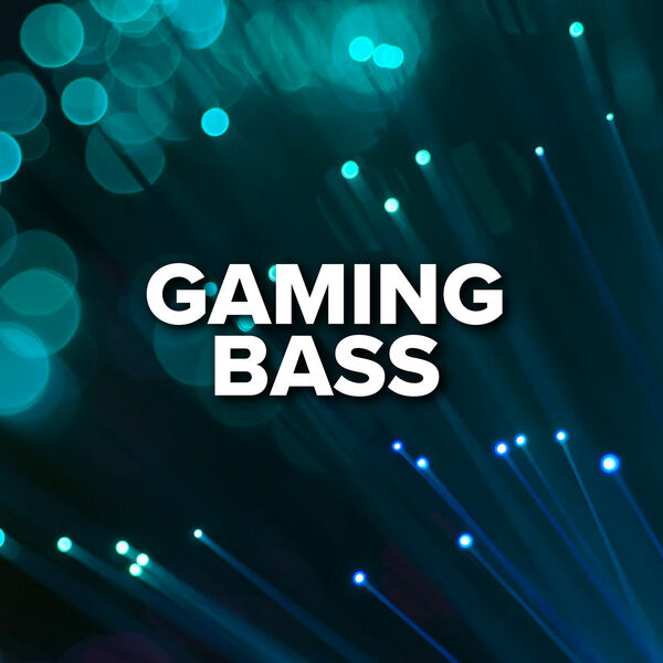 Various Artists|Gaming Bass