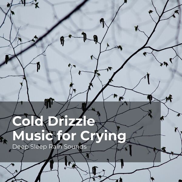 Cold Drizzle Music for Crying, Deep Sleep Rain Sounds Qobuz