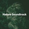 Nature Sound Collection Nature Soundtrack