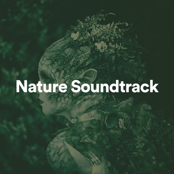 Nature Sound Collection|Nature Soundtrack Nature Sound Collection|Nature Soundtrack