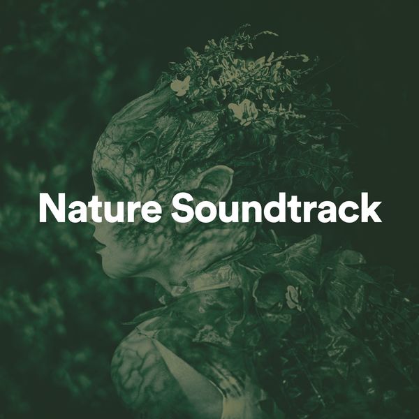 Nature Sound Collection|Nature Soundtrack