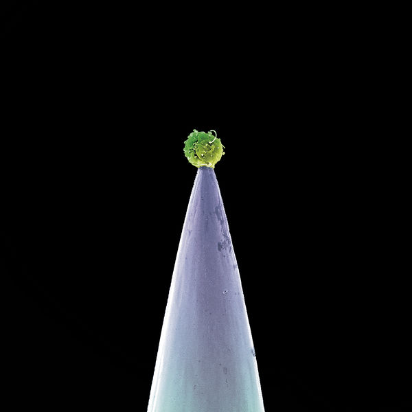 Peter Gabriel - New Blood (Special Edition) Peter Gabriel - New Blood (Special Edition)