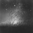 Jacob Lively Between the Stars