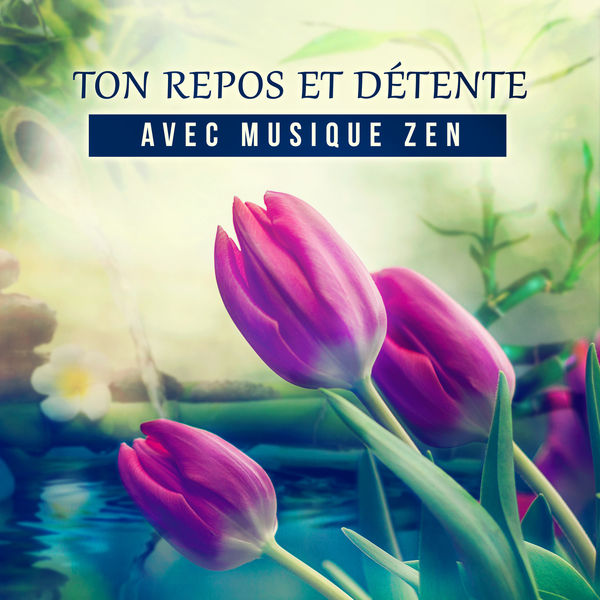 Oasis de Musique Zen Spa|Ton repos et détente avec musique zen – Se relaxer aux sons de la nature pour le bien-être et l'harmonie intérieure, Musique apaisante