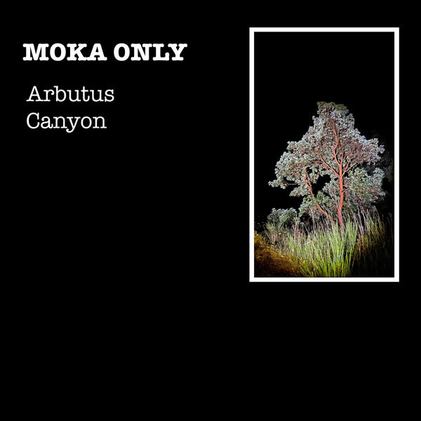 Moka Only|Arbutus Canyon Moka Only|Arbutus Canyon