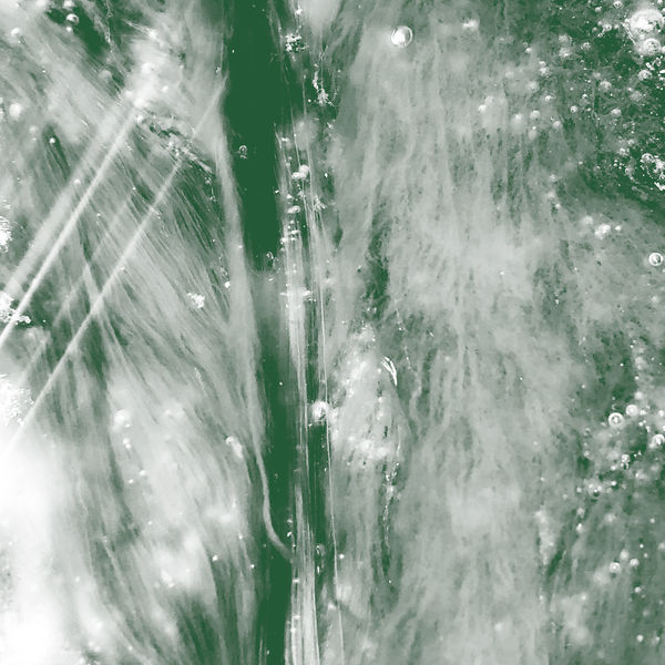 Ian Wellman - Bioaccumulation Ian Wellman - Bioaccumulation