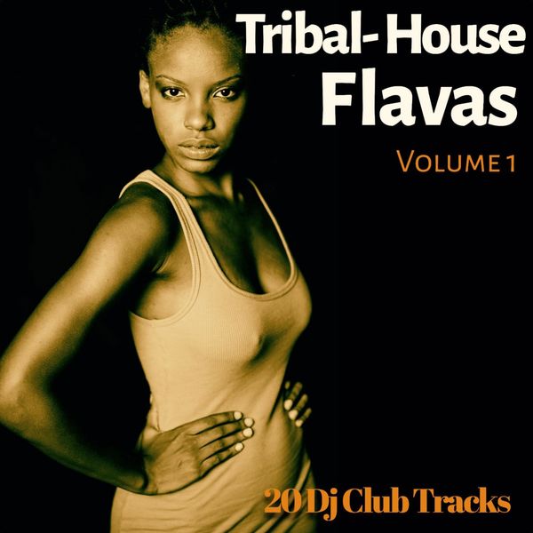 Tribal House Flavas, Vol. 1 (20 DJ Club Tracks), Various Artists - Qobuz