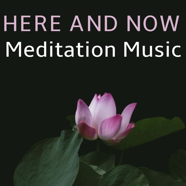 Indian Music, Musica Hindu, World Music, Musique Indienne, Musique Hindoue, Spa & Spa, Relaxation, Mindfulness Meditation Music Spa Maestro, Zen Médit|Here And Now  (Meditation Music)