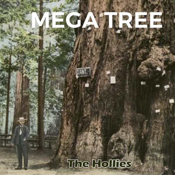 The Hollies - Mega Tree The Hollies - Mega Tree