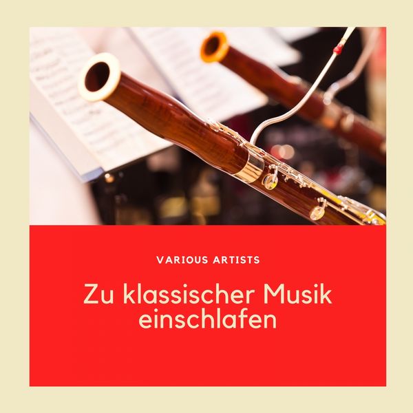 Various Artists - Zu klassischer Musik einschlafen Various Artists - Zu klassischer Musik einschlafen