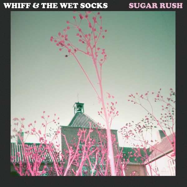 Whiff|Sugar Rush Whiff|Sugar Rush