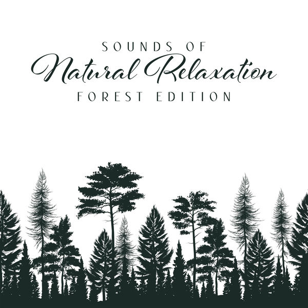 Odyssey for Relax Music Universe - Sounds of Natural Relaxation: Forest Edition Odyssey for Relax Music Universe - Sounds of Natural Relaxation: Forest Edition
