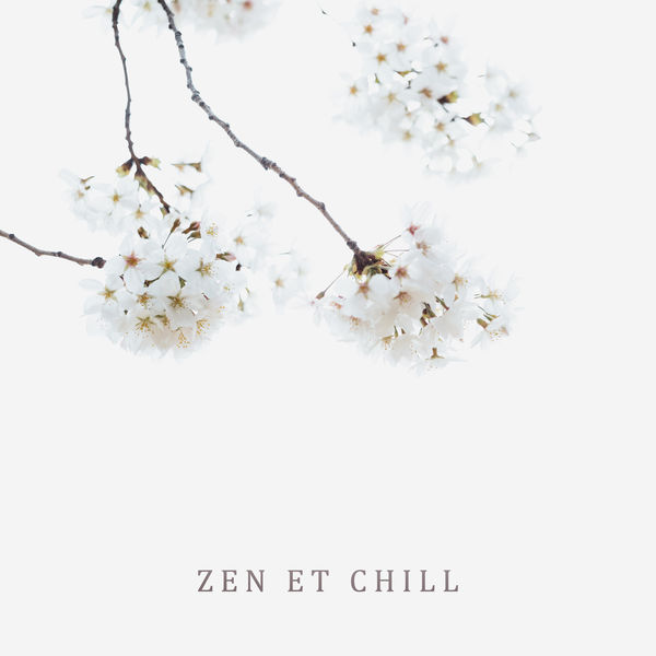 Ensemble de Musique Zen Relaxante|Zen et chill (Nouvelle musique de méditation pour l'esprit, L'esprit et le corps)