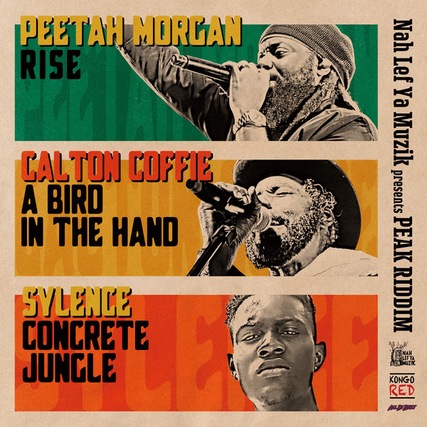 Peetah Morgan|Peak Riddim Peetah Morgan|Peak Riddim