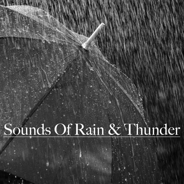 Nature Sounds|Sounds of Rain & Thunder