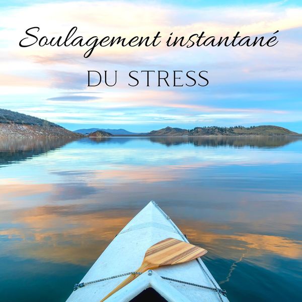 Club de méditer de détendre|Soulagement instantané du stress: Émotions négatives de désintoxication, Musique de sommeil calme Club de méditer de détendre|Soulagement instantané du stress: Émotions négatives de désintoxication, Musique de sommeil calme