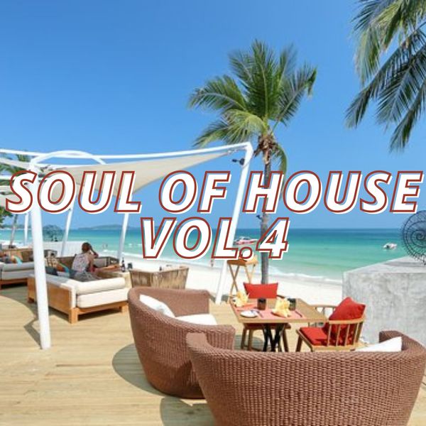 Various Artists - Soul of House Vol.4 Various Artists - Soul of House Vol.4