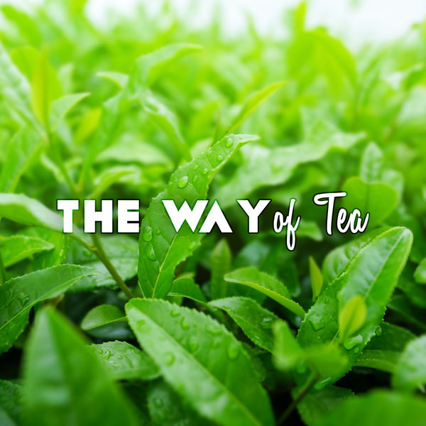 Garden of Zen Music|The Way of Tea - A Wonderful Refreshment (Enjoy Tea Drinking, Traditional Chinese & Japanese Instruments, Pure & Simple)