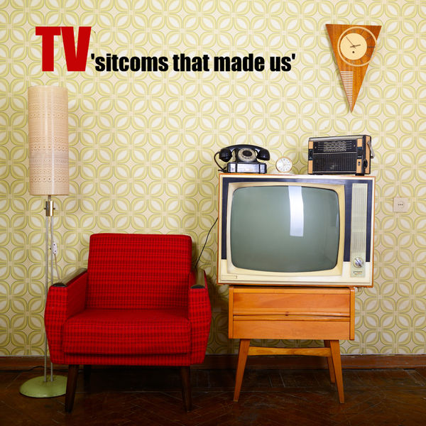 Various Artists|T.V. Sitcoms That Made Us