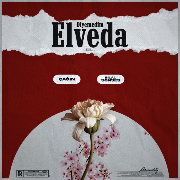 Bilal Sonses|Diyemedim Elveda Bilal Sonses|Diyemedim Elveda