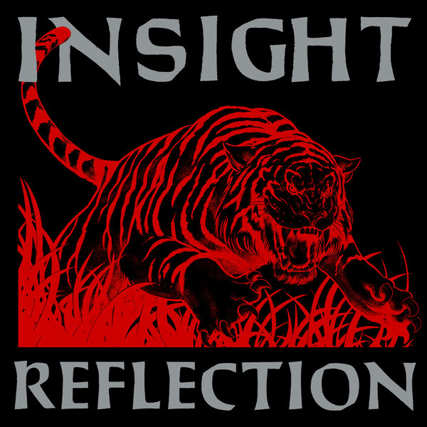 Insight - Reflection Insight - Reflection