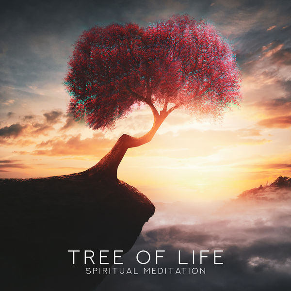 Album Tree Of Life Spiritual Meditation Soul Reset Return To Pure Soul Healing Music Meditation Project Zen Qobuz Download And Streaming In High Quality