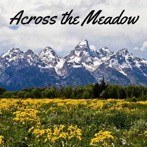 Thunderstorm Sound Bank|Across the Meadow