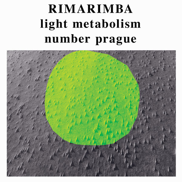 Rimarimba - Egg Foo Young Rimarimba - Egg Foo Young