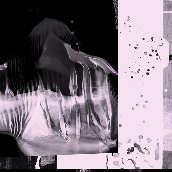 TR/ST - Iris TR/ST - Iris