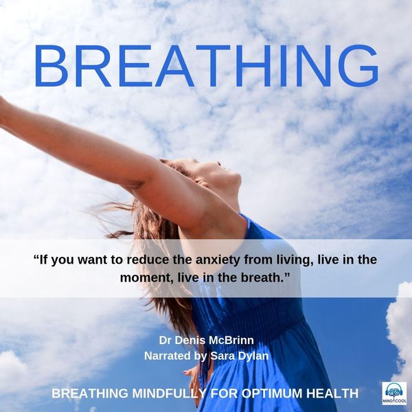 Dr Denis McBrinn - Breathing (feat. Sara Dylan) Dr Denis McBrinn - Breathing (feat. Sara Dylan)
