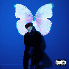 The Butterfly Effect, Phora - Qobuz