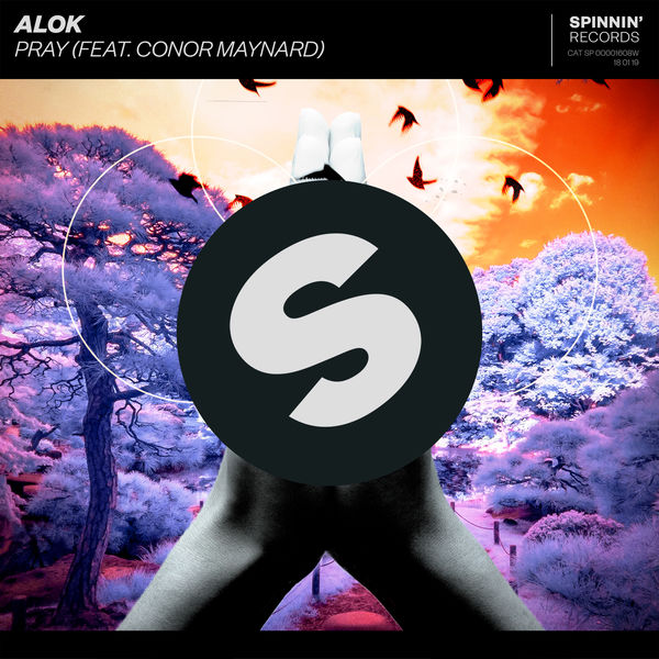 Alok - Pray (feat. Conor Maynard) Alok - Pray (feat. Conor Maynard)