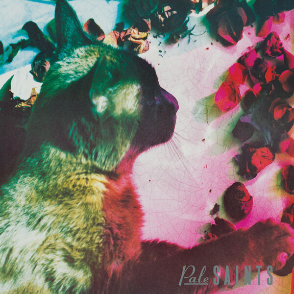 Pale Saints|The Comforts of Madness (30th Anniversary Reissue) Pale Saints|The Comforts of Madness (30th Anniversary Reissue)