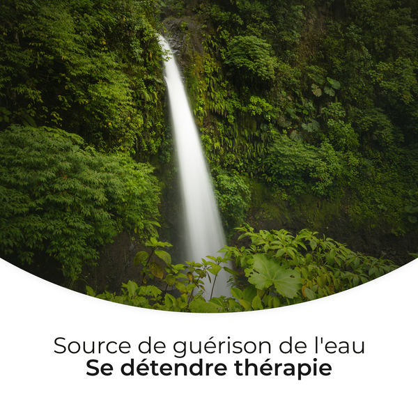 Ensemble de Musique Zen Relaxante|Source de guérison de l'eau: Se détendre thérapie - Méditation profonde, Cure d'insomnie, Yoga du matin, Musique spa