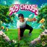 Choosymk SOY CHOOSY