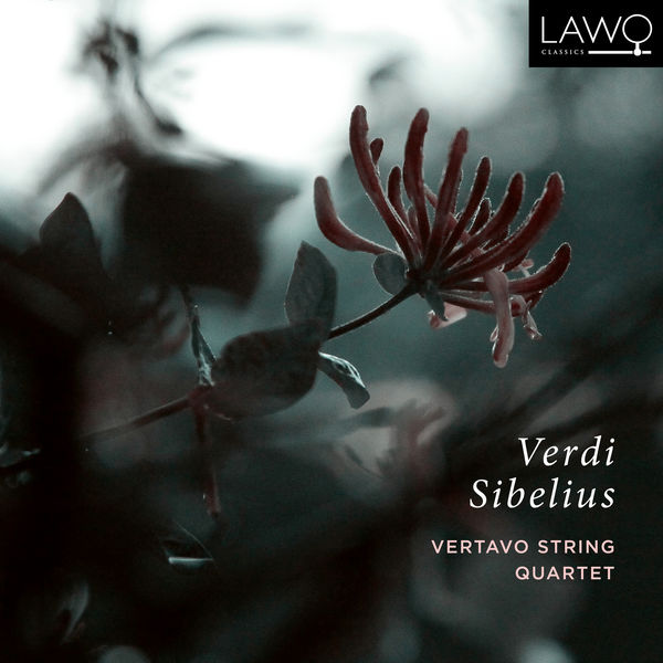 Vertavo String Quartet|String Quartet in E Minor: III. Prestissimo Vertavo String Quartet|String Quartet in E Minor: III. Prestissimo