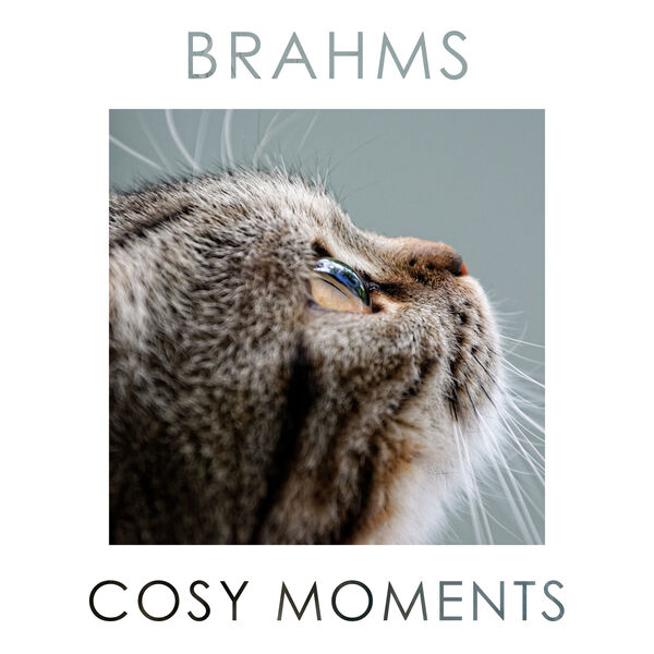 Johannes Brahms|Brahms Cosy Moments Johannes Brahms|Brahms Cosy Moments