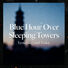 Yesterday and Today Blue Hour Over Sleeping Towers