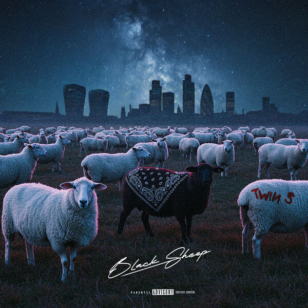 Twin S|Black Sheep