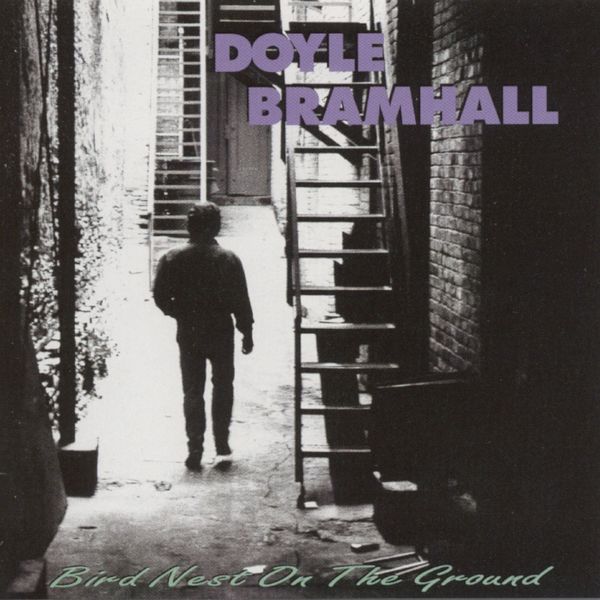 Doyle Bramhall II|Bird Nest on the Ground