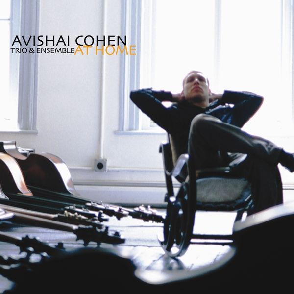 Avishai Cohen|At Home Avishai Cohen|At Home