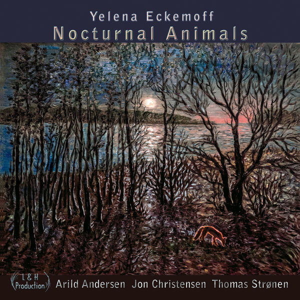Arild Andersen|Nocturnal Animals Arild Andersen|Nocturnal Animals