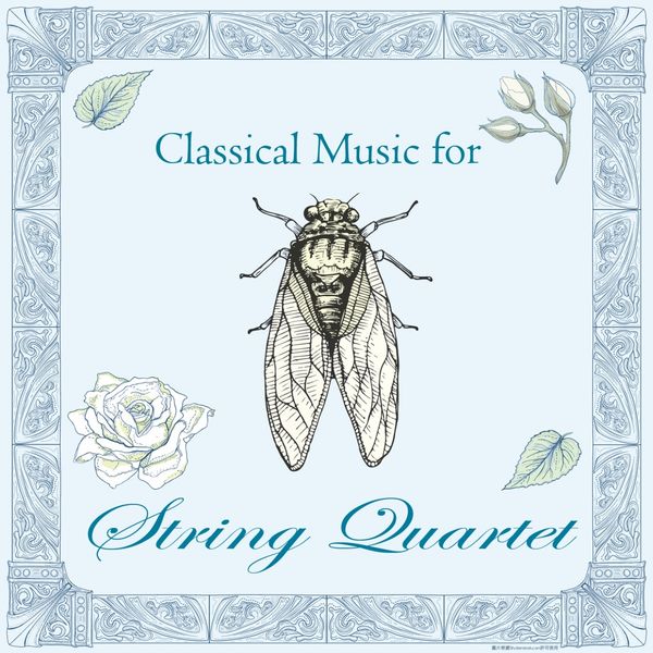 Shockwave-Sound - Classical Music for String Quartet Shockwave-Sound - Classical Music for String Quartet