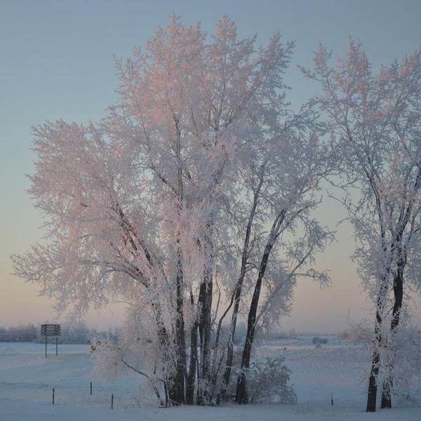 Tom Samson|Winter Twilight