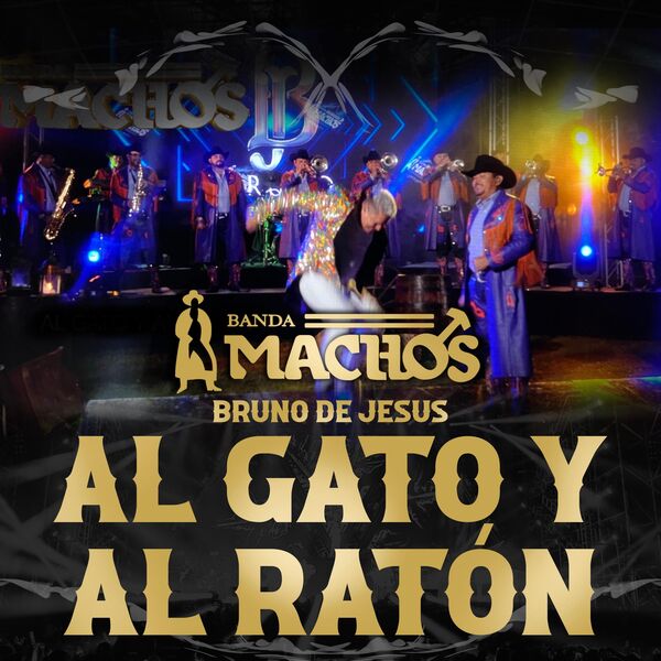Banda Machos Raton Al Gato Y Al Ratón, Banda Machos - Qobuz