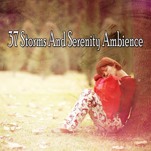 Meditation Rain Sounds - 37 Storms and Serenity Ambience Meditation Rain Sounds - 37 Storms and Serenity Ambience
